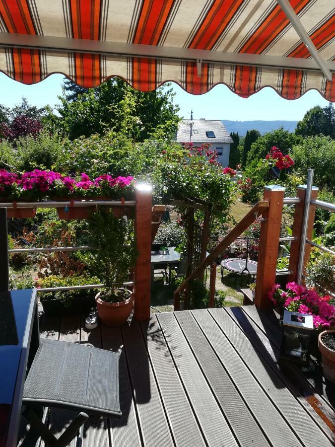Appartment Fasanenhof Klinikum Und Uni Nah Mit Netflix Κάσελ Εξωτερικό φωτογραφία